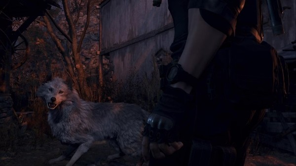 
                    Как спасти собаку в Resident Evil 4 Remake
                